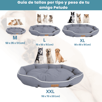 La cama que los perros sí usan (después de que las otras no funcionaron)
