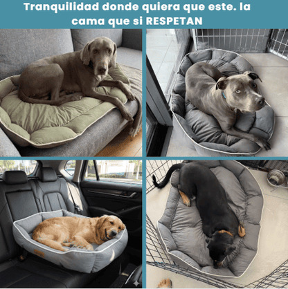 La cama que los perros sí usan (después de que las otras no funcionaron)