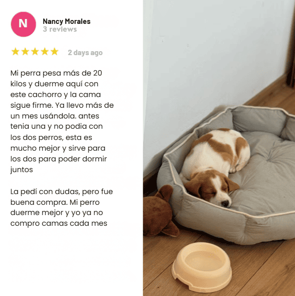 La cama que los perros sí usan (después de que las otras no funcionaron)