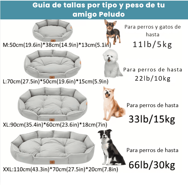 La cama que los perros sí usan (después de que las otras no funcionaron)